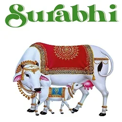 Export Ready Products